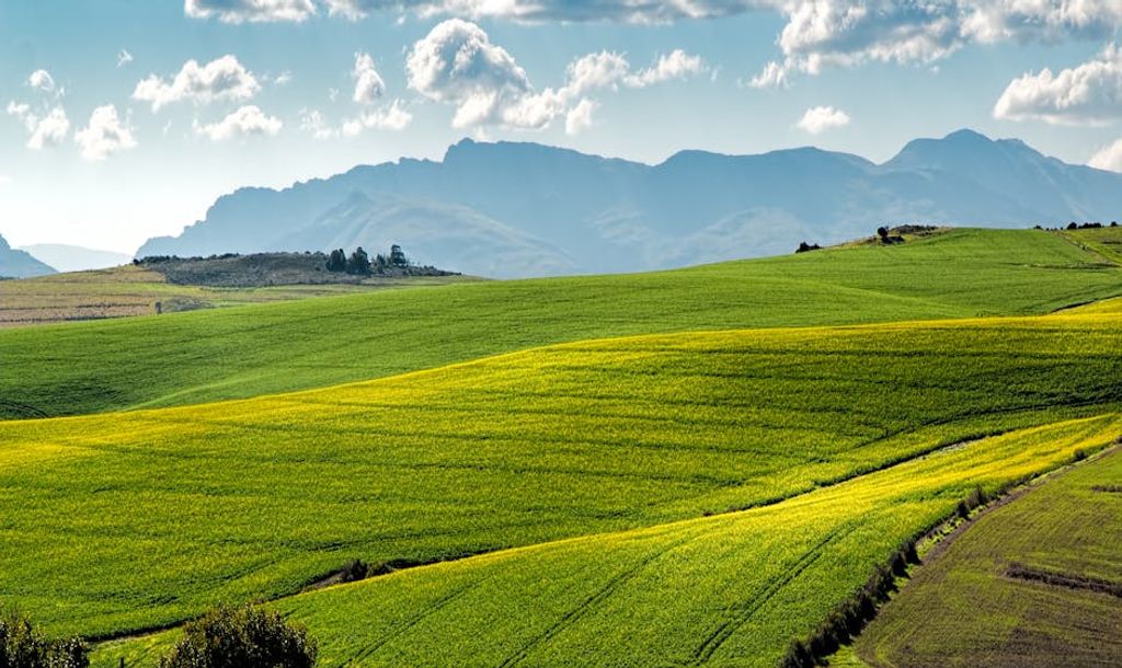 Pixabay באתר PEXELS Agricultural Land