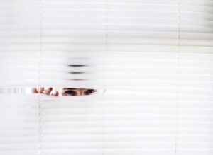 spy